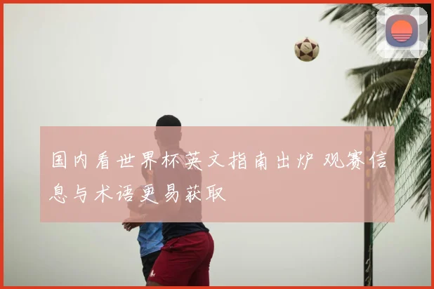 国内看世界杯英文指南出炉 观赛信息与术语更易获取