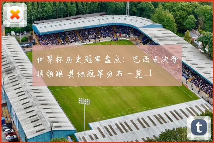 世界杯历史冠军盘点:巴西五次登顶领跑 其他冠军分布一览_1
