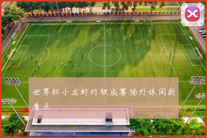 世界杯小龙虾对联成赛场外休闲新看点