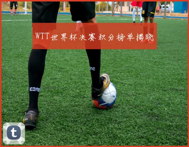 WTT世界杯决赛积分榜单揭晓