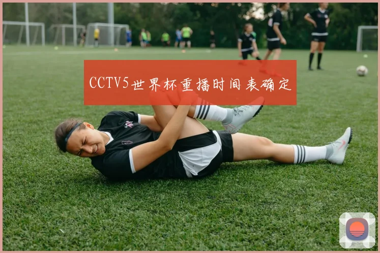 CCTV5世界杯重播时间表确定